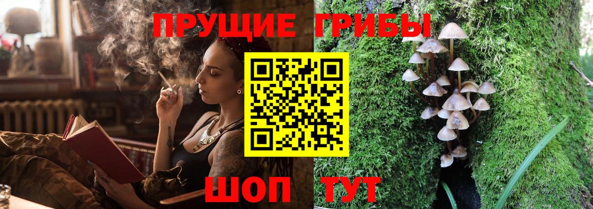 Галлюциногенные грибы Cubensis Бирск