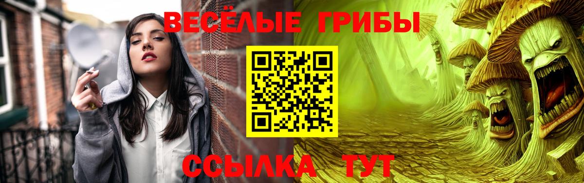 цена   Псилоцибиновые грибы GOLDEN TEACHER  Вход с VPN  Бирск 